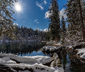 Lake Cresta, Las, Jezioro, Zima, Szwajcaria, Śnieg, Drzewa, Kanton Gryzonia, Promienie słońca