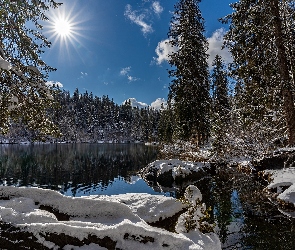 Zima, Kanton Gryzonia, Drzewa, Szwajcaria, Śnieg, Las, Jezioro, Lake Cresta, Promienie słońca