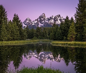 Góry, Las, Rzeka Snake River, Park Narodowy Grand Teton, Stany Zjednoczone, Odbicie, Drzewa, Stan Wyoming, Teton Range