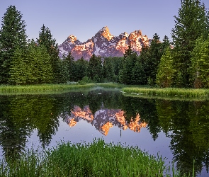 Park Narodowy Grand Teton, Stan Wyoming, Odbicie, Stany Zjednoczone, Rzeka Snake River, Drzewa, Góry, Teton Range, Las