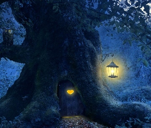 Noc, Drzewo, 2D, Sowa, Lampion, Drzwi