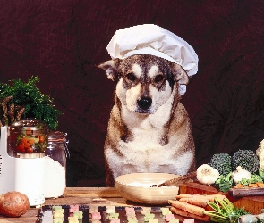Pies, Warzywa, Kucharz