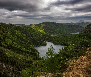 Austria, Góry, Lasy, Jezioro Langbathseen