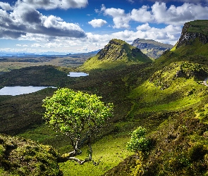 Góry, Quiraing, Wyspa Skye, Szkocja, Osuwisko, Chmury, Jeziora, Zielone, Drzewo
