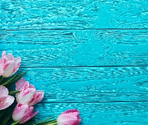 Deski, Niebieskie, Różowo-białe, Tulipany