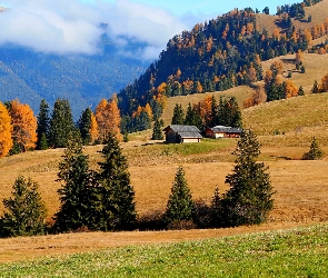 Wzgórza, Domy, Płaskowyż Seiser Alm, Drzewa, Region Trydent-Górna Adyga, Pola, Włochy, Jesień