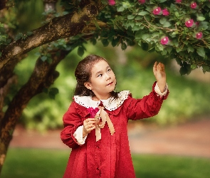 Dziecko, Dziewczynka, Kwiaty, Sukienka, Drzewo, Czerwona