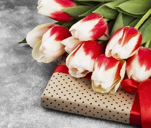Biało-czerwone, Prezent, Tulipany