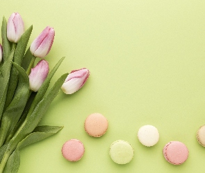 Zielone, Makaroniki, Bukiet, Tło, Ciasteczka, Kwiaty, Tulipany