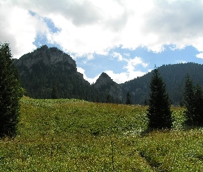 Góry, Łąka, Lato