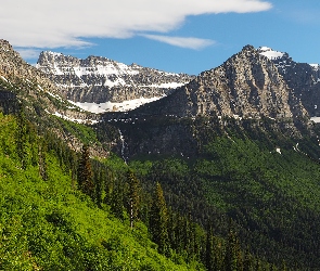 Góry Skaliste, Stany Zjednoczone, Park Narodowy Glacier, Montana, Lasy