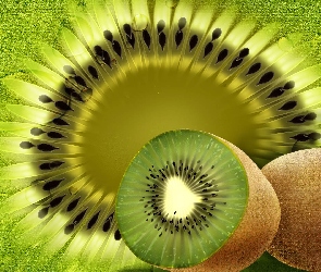 Wody, Krople, Kiwi, Przekrój