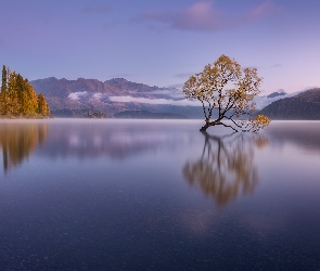 Jezioro Wanaka, Drzewo, Nowa Zelandia, Jesień, Odbicie, Góry