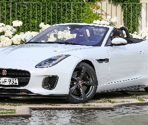Jaguar F-Type, Biały