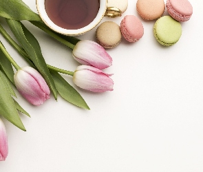 Tulipany, Ciasteczka, Kwiaty, Kawa, Białe, Filiżanka, Tło, Makaroniki