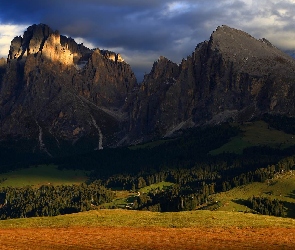 Lasy, Drzewa, Góry, Dolina