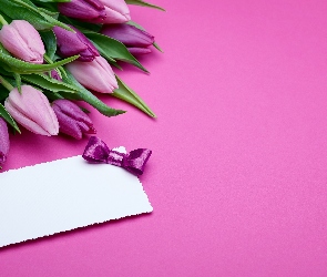 Bilecik, Kokardka, Tulipany
