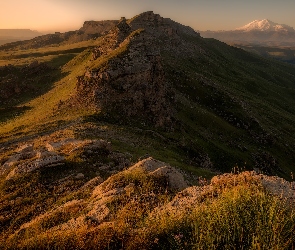 Skały, Trawa, Góry