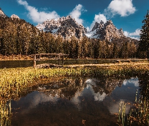 Włochy, Antorno Lake, Szuwary, Ścieżka, Jezioro, Ławka, Dolomity, Góry, Alpy, Mostek