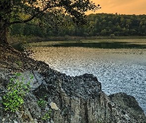 Drzewa, Skały, Jezioro, Brzeg