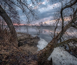 Łatgalia, Drzewa, Domy, Łotwa, Bezlistne, Rzeka Dubna, Mgła