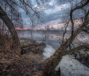 Domy, Rzeka Dubna, Łotwa, Bezlistne, Drzewa, Łatgalia, Mgła