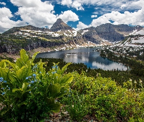 Stan Montana, Park Narodowy Glacier, Jezioro Hidden Lake, Stany Zjednoczone, Chmury, Góry, Drzewa
