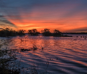 Jezioro, Chatfield State Park, Stany Zjednoczone, Zachód słońca, Drzewa, Kolorado, Lake Chatfield