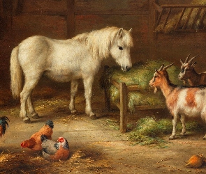 Kury, Kozy, Obraz, Stodoła, Koń, Malarstwo, Edgar Hunt