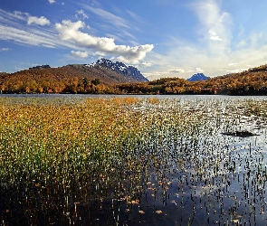 Jesień, Trawa, Jezioro, Drzewa, Góry