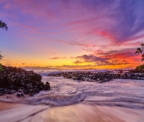Hawaje, Palmy, Morze, Zachód słońca, Wyspa Maui