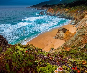Plaża, Skały, Morze, Park stanowy Julii Pfeiffer Burns, Stany Zjednoczone, Kwiaty, Roślinność, Kalifornia, Wybrzeże
