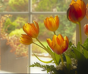 Tulipany, Okno, Kwiaty