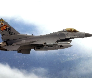 Dynamics, F-16, General