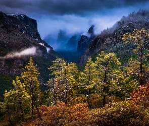 Góry, Drzewa, Park Narodowy Yosemite, Las, Stan Kalifornia, Sierra Nevada, Stany Zjednoczone, Chmury