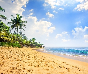 Morze, Hikkaduwa, Dom, Sri Lanka, Chmury, Palmy, Fale, Plaża, Narigama Beach