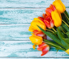 Niebieskie, Wstążka, Żółte, Deski, Bukiet, Czerwone, Tulipany
