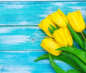 Kwiaty, Deski, Niebieskie, Tulipany, Żółte