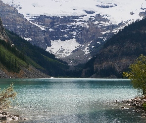 Drzewa, Jezioro Lake Louise, Park Narodowy Banff, Kanada, Mgła, Chmury, Zima, Góry