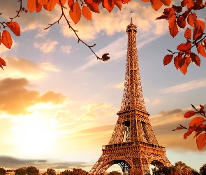 Jesień, Wieża Eiffla, Francja, Liście, Paryż, Gałązki