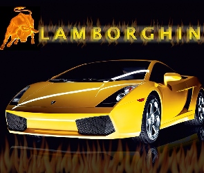 Byk, Lamborghini Gallardo