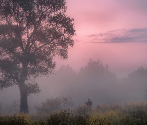 Fotograf, Człowiek, Poranek, Wschód słońca, Mgła, Drzewo