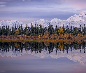 Stany Zjednoczone, Góry, Drzewa, Kordyliery, Park Narodowy Denali, McKinley, Rzeka, Las, Alaska, Góra Denali