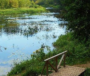 Rzeka, Drzewa, Ścieżka, Drewniany, Mostek, Rośliny