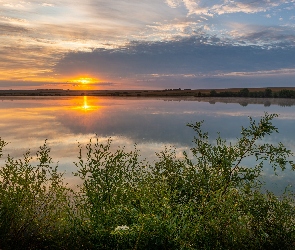 Rzeka, Wschód słońca, Krzewy