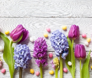 Deski, Cukierki, Hiacynty, Kwiaty, Tulipany, Kolorowe