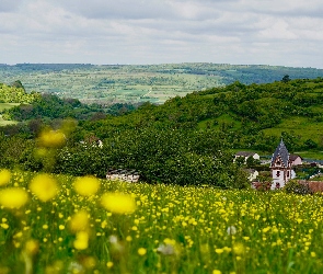 Drzewa, Łąka, Wzgórza, Kościół, Kwiaty, Zabudowania, Pola, Żółte