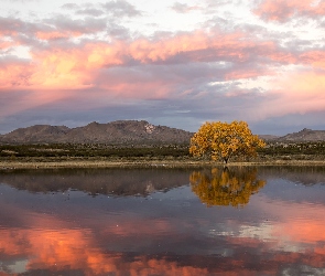 Stany Zjednoczone, Jesień, Bosque Del Apache, Drzewo, Rzeka Rio Grande, Rezerwat przyrody, Wschód słońca, Góry, Nowy Meksyk, Topola kanadyjska