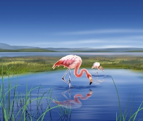 Jezioro, Grafika 2D, Flamingi, Dwa