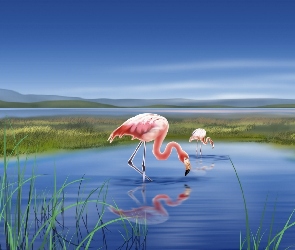 Jezioro, Grafika 2D, Flamingi, Dwa